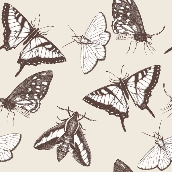 Mariposas dibujadas a mano — Vector stock © geraria #49797047