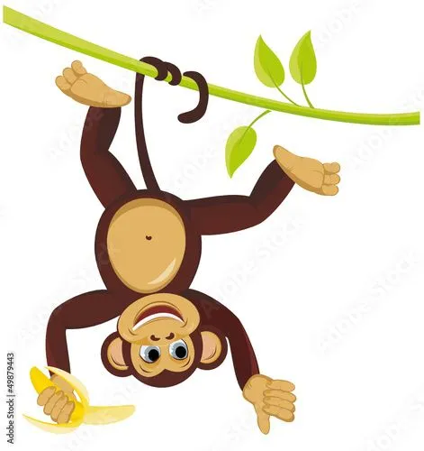 Monkey on liana with banana" Imágenes de archivo y vectores libres ...