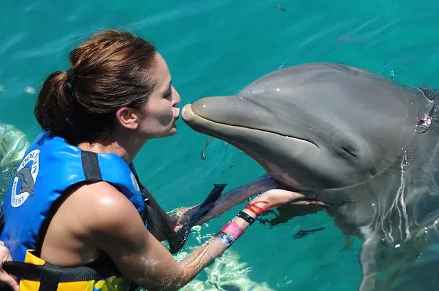 Nadando con delfines en Cancún - Andurriante