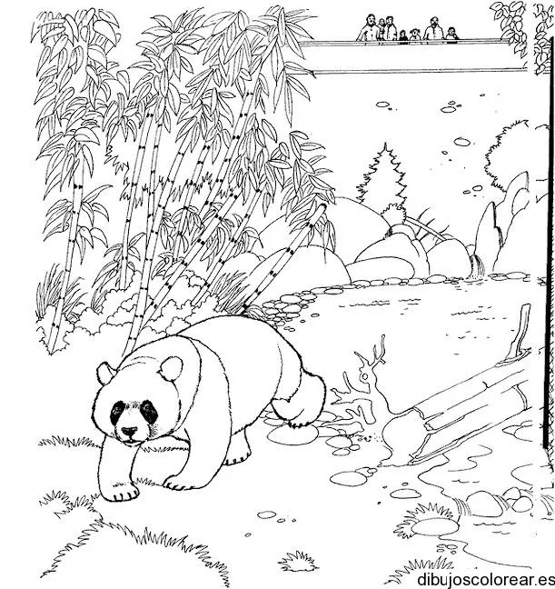 Dibujo de un oso panda en el bosque | Dibujos para Colorear