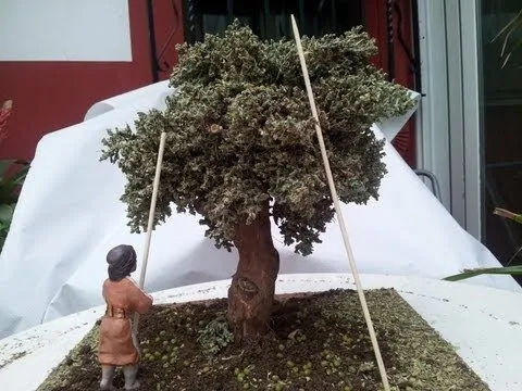 COMO HACER UN OLIVO - HOW TO OLIVE TREE - YouTube
