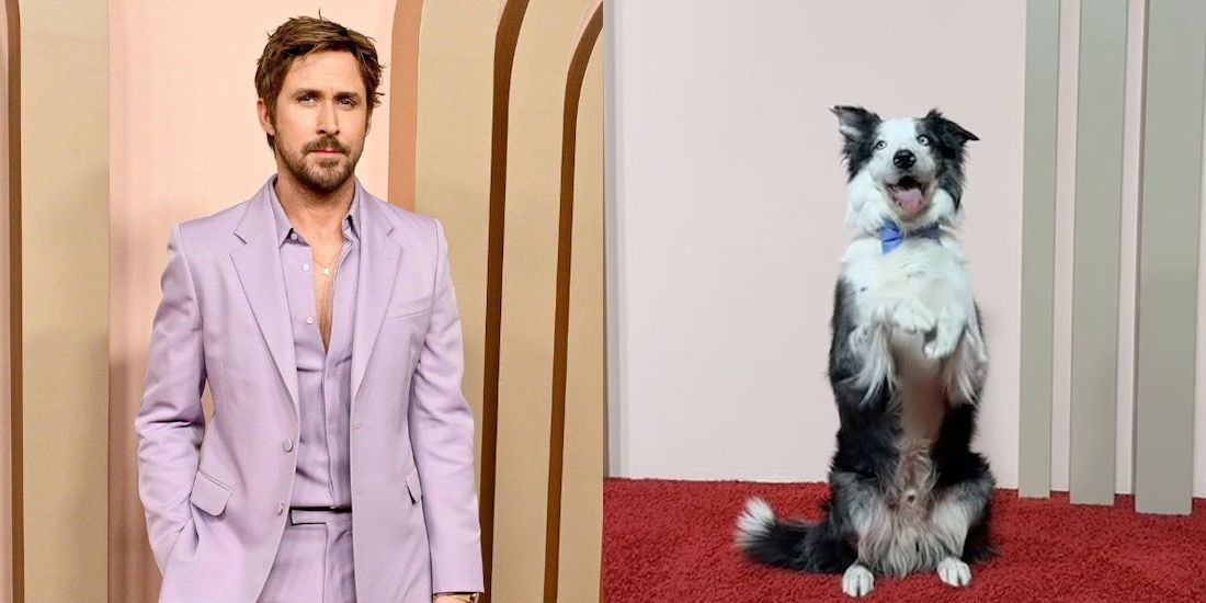 Oscar 2024: Ryan Gosling conoce a Messi, el perro de 'Anatomy of a fall' - La Razón de México