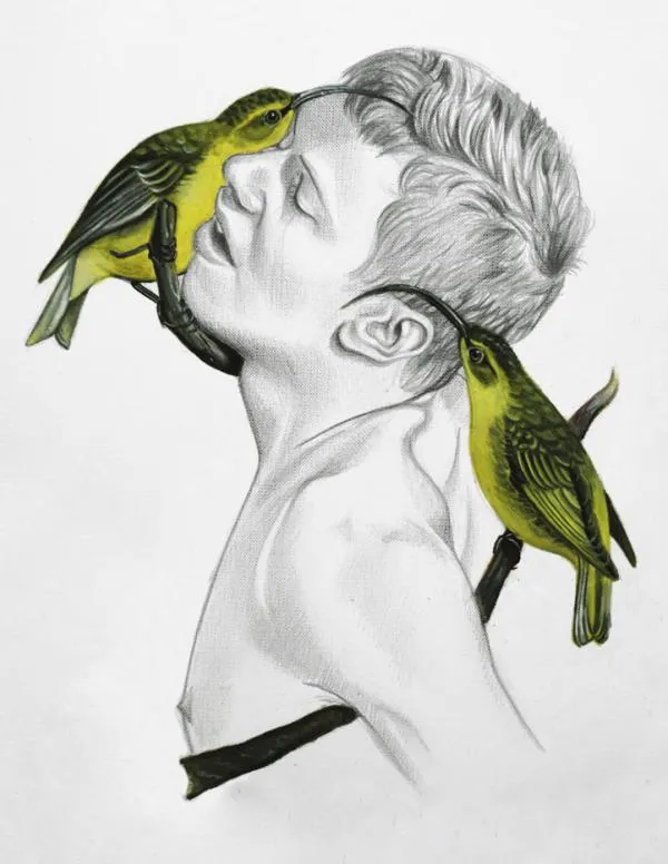 Pájaros - Dibujos de Luca Mantovanelli - Arte Feed
