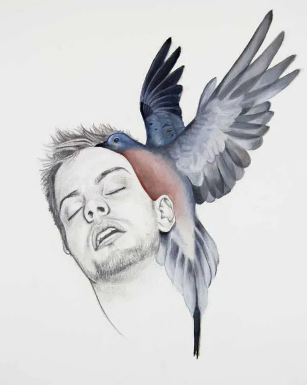 Pájaros - Dibujos de Luca Mantovanelli - Arte Feed