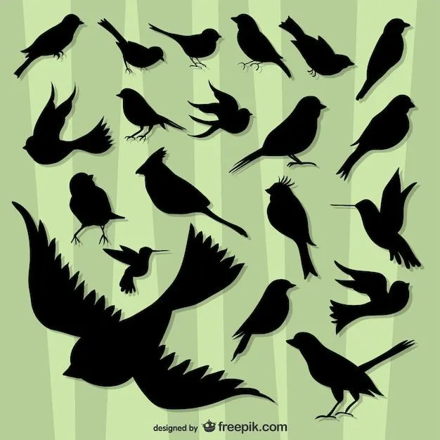 Siluetas de pájaros volando | Descargar Vectores gratis