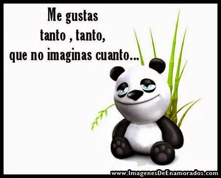 Panda animado tierno enamorado - Imagui