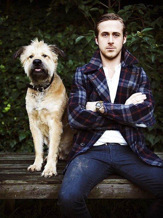Los perros adoptados de los famosos de Hollywood