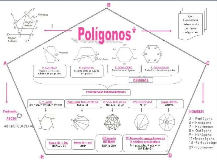 poligonos-organ-grafico-y- ...
