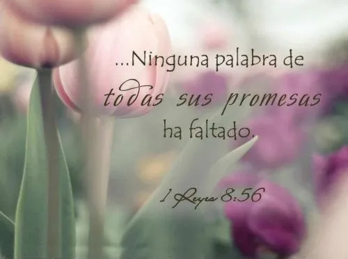 Soy Recipiente De Sus Promesas | Tiempo Con Dios (Pastor Jorge ...