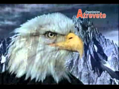 La Renovación del Aguila - [Mejor Edición] - YouTube
