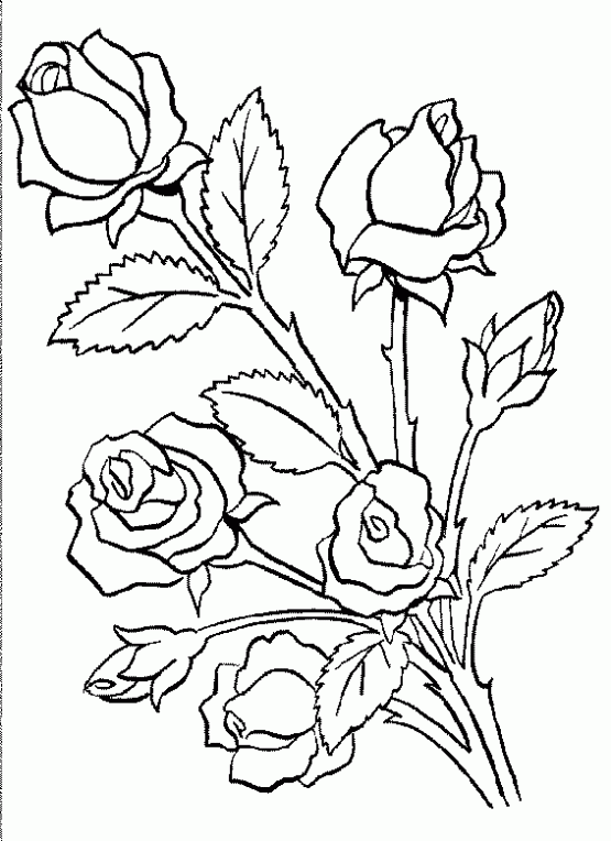 Rosas de amor para colorear - Imagui
