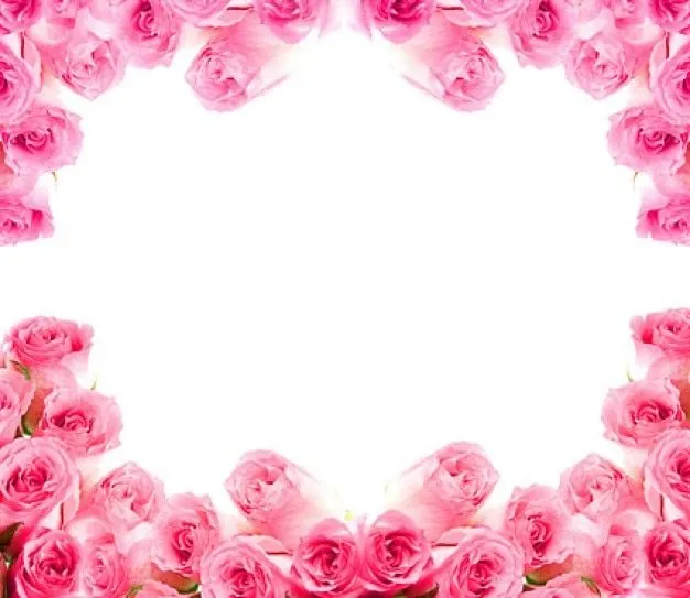 rosas de color rosa de imagen | Descargar Fotos gratis