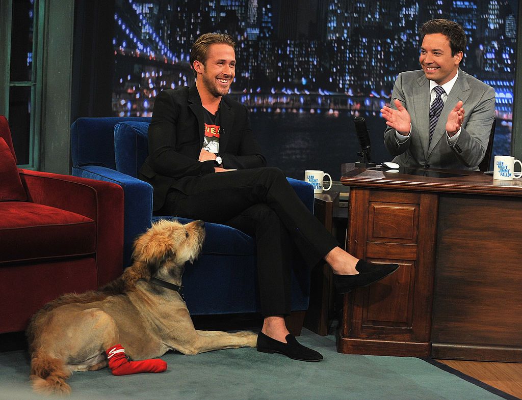Ryan Gosling y otros actores COMESTIBLES que rescataron y adoptaron perros | Estilo de Vida Bienestar | Univision