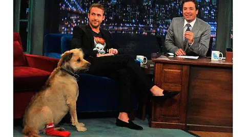 Ryan Gosling rinde tierno homenaje a su difunto perro George - El Sol de México | Noticias, Deportes, Gossip, Columnas