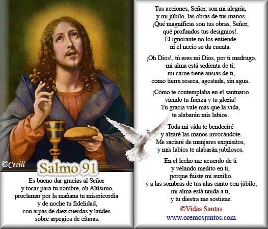 Salmo 91 en español catolico - Imagui