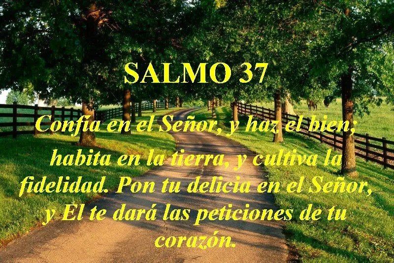 SEGUIR EL CAMINO DE LA JUSTÍCIA – Salmo 37 | Mission Venture ...