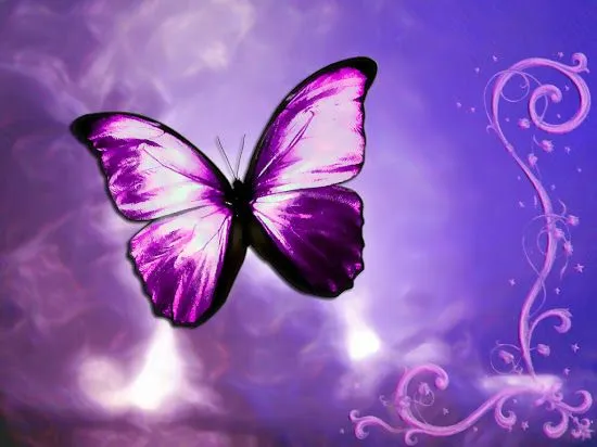 Que significa soñar con mariposas | Significado de los sueños ...