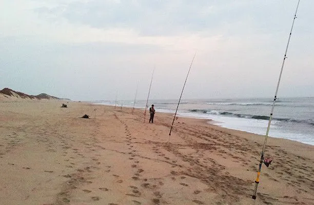 Técnica pesca Surf Casting (praia) | A Pesca