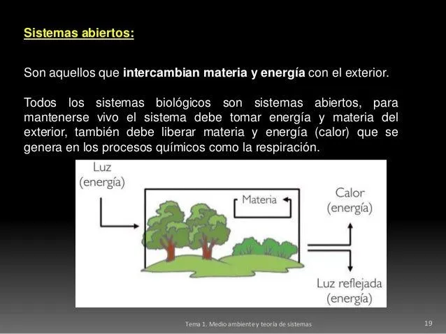 Tema 1. sistemas ambientales