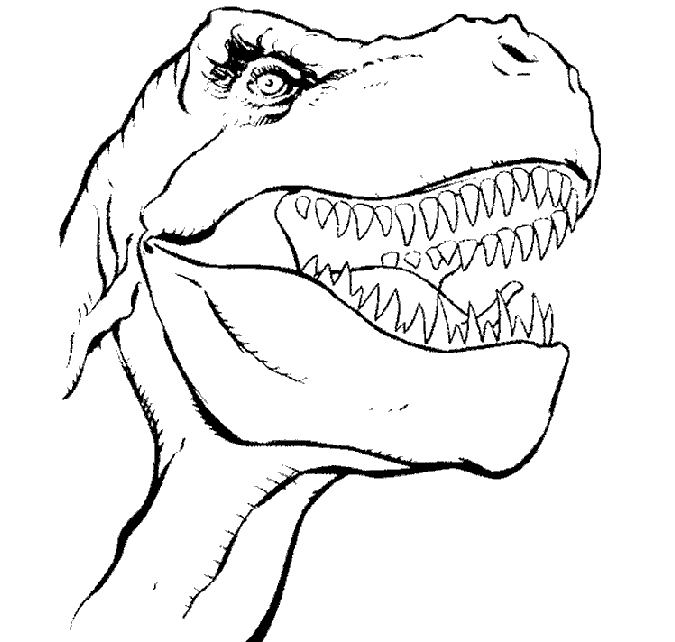 Tiranosaurius Rex para colorear