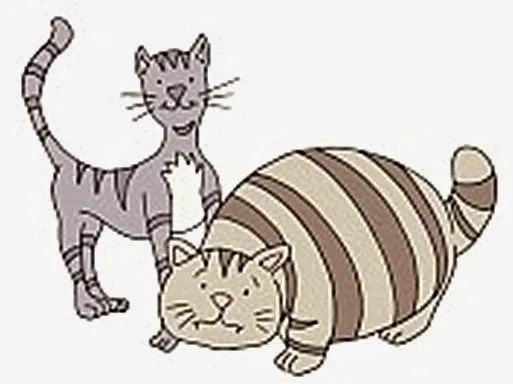 Versos con rimas para niños: Gato flaco y gato gordo
