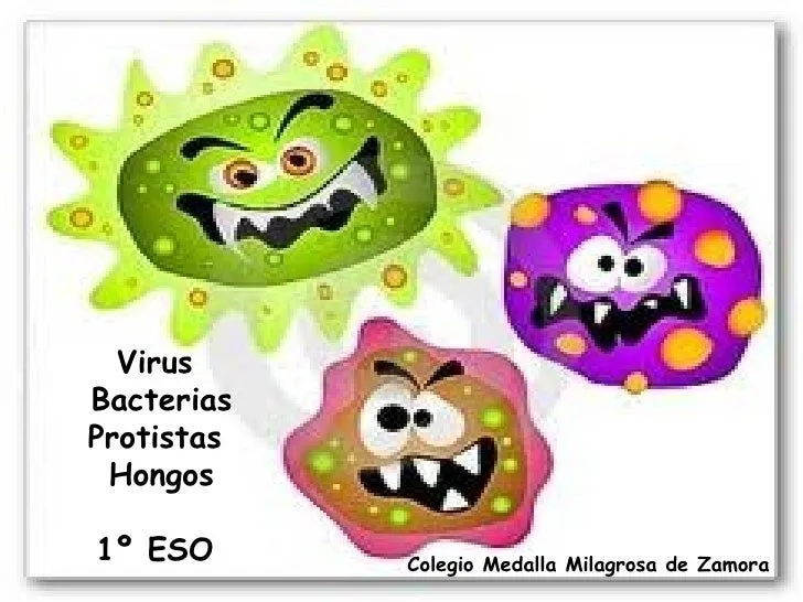 Hongos y bacterias Colouring Pages
