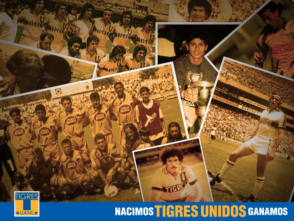 Wallpapers De Tigres Uanl Imagui