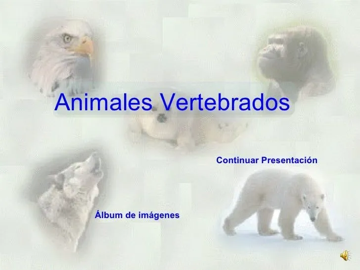 V E R T E B R A D O S