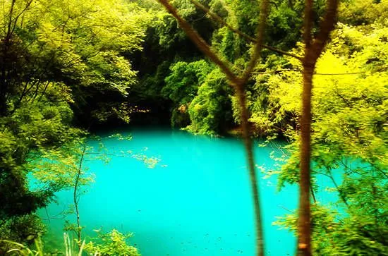 探访贵州荔波:迷醉在中国最美的森林_阳光旅程_济南旅行社,济南国际 ...