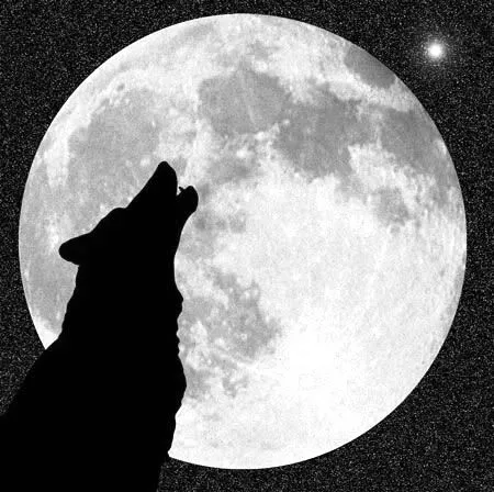 C A B A L A Y K A: EL LOBO Y LA LUNA