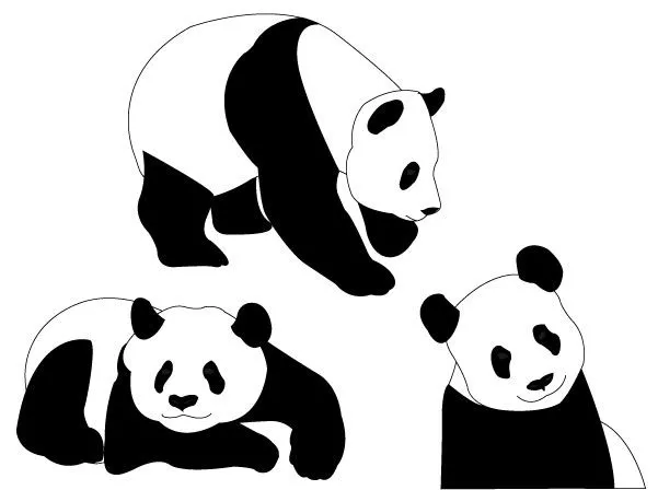 009-Panda Bears Vector | Free Vector Graphics Download | Free ...