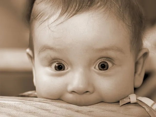 Fotos de bebe sorprendido Mejores fotos del mundo para facebook