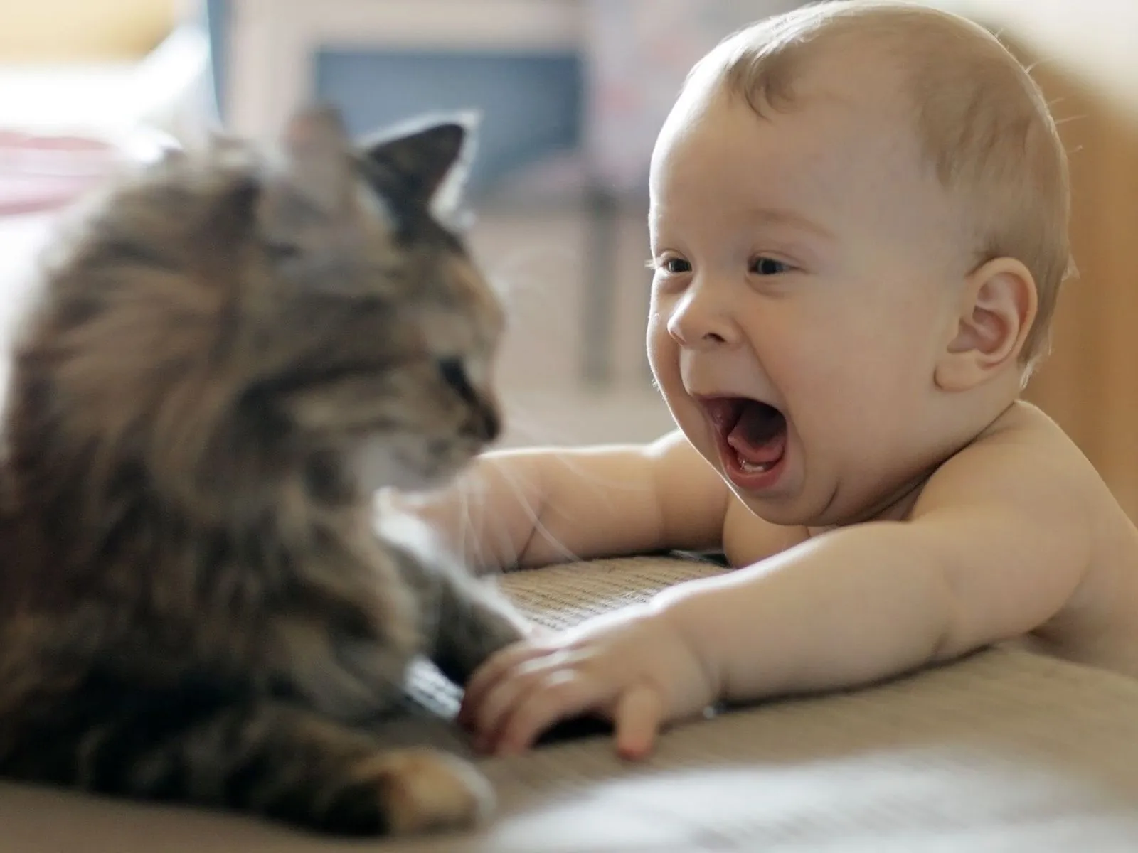 Foto de lindo bebe jugando con bebe Mejores fotos del mundo para ...