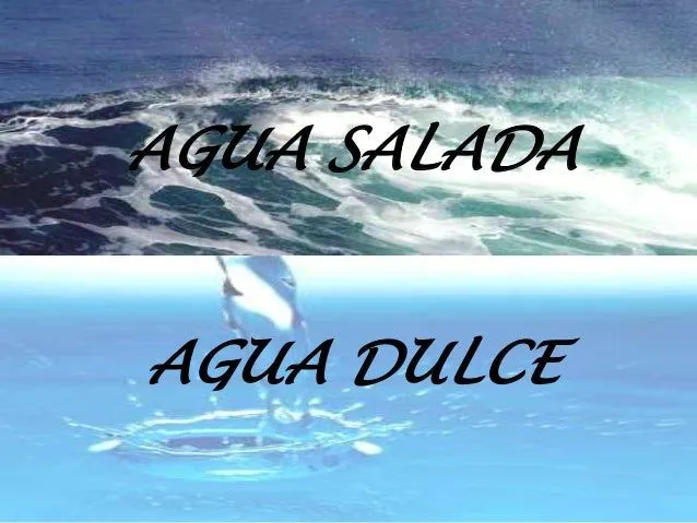 1-agua-dulce-y-agua-salada-1- ...