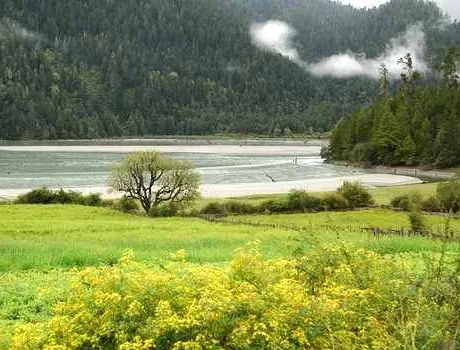 Imagenes de bosques disfrualas! | Hermosas | - Taringa!