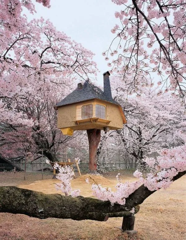 10 edificios minimalistas inspirados en la ceremonia del té - news ...