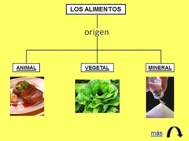 10 ejemplos de alimentos de origen mineral - Imagui