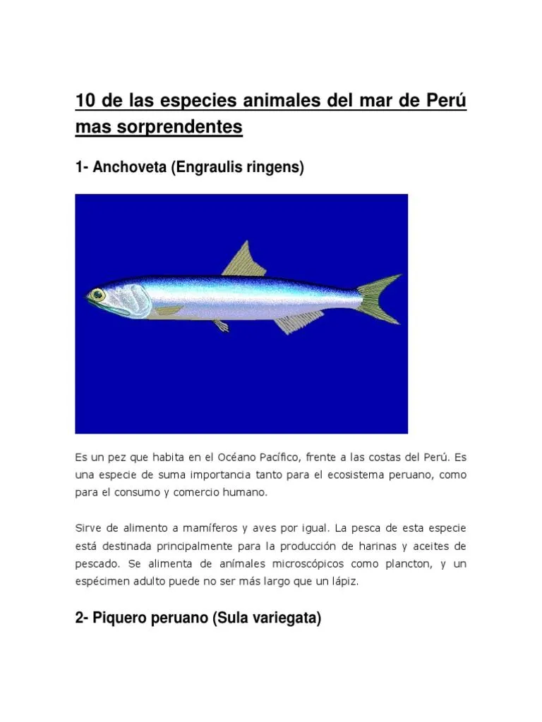 10 de Las Especies Animales Del Mar de Perú Mas Sorprendentes | PDF | Aves  | Organismos