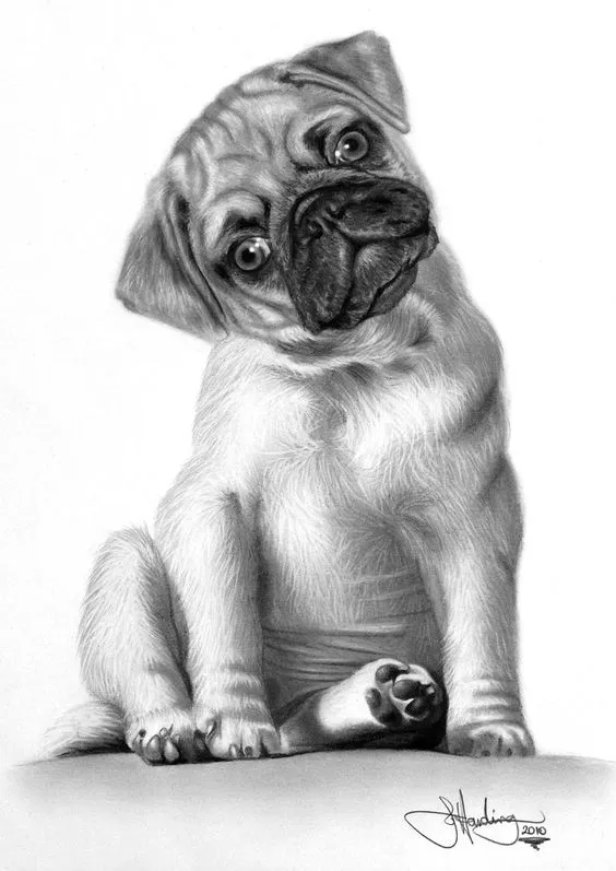 10 Lindos Dibujos A Lapiz De Perros - Imagenes De Perros