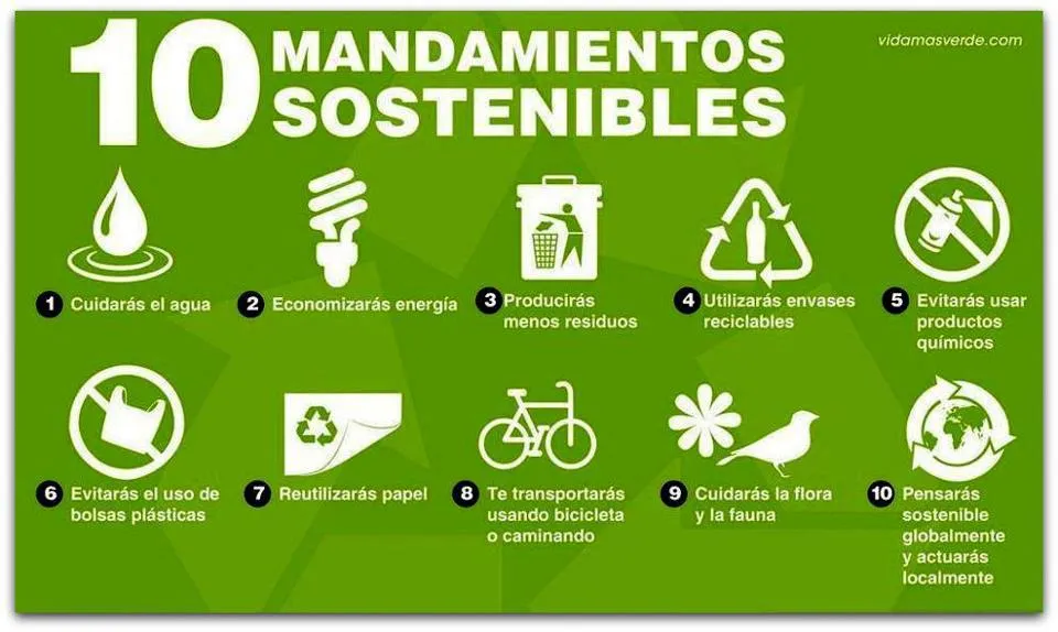 10 mandamientos sostenibles #infografia #infographic ...