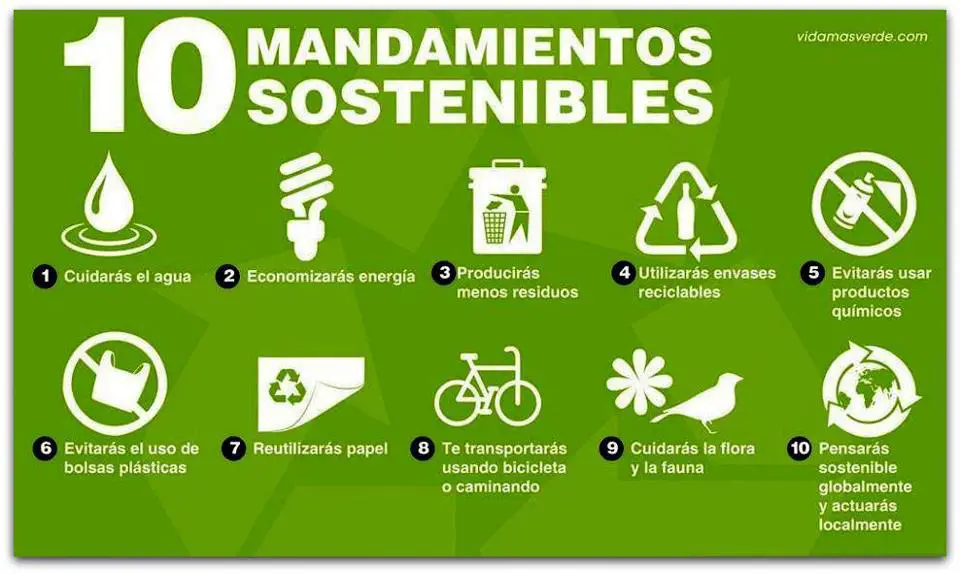 Los 10 mandamientos verdes #infografía - Conciencia Eco