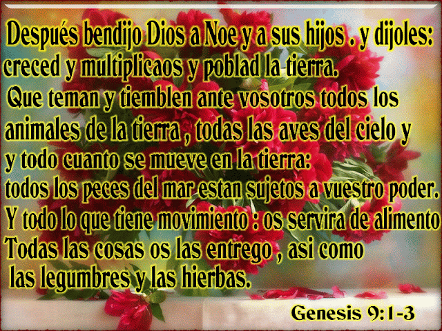 Las 10 Mejores Frases De Amor Biblicas - FRASES | IMAGENES ...