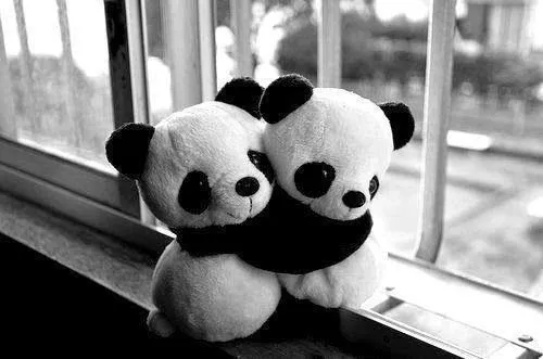 10 pensamientos cortos para reflexionar | Tu Cambio Es Ahora