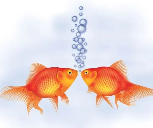 100 best Illustrator tutorials from 2013 | Creative Nerds