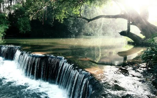 Más de 100 fondos de pantalla sobre naturaleza para tu Mac