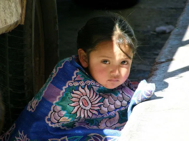 De cada 100 niños indígenas, 28 no saben leer ni escribir ...