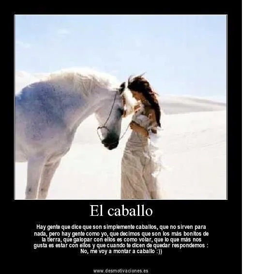 1000+ ideas sobre Frases Caballos en Pinterest | Frases de ...