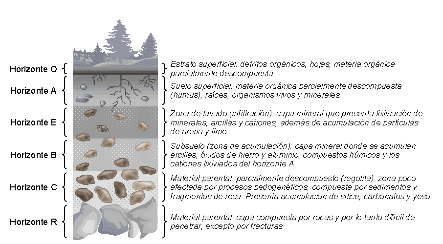 104a quimica equipo 1: Propiedades fisicas y quimicas del suelo