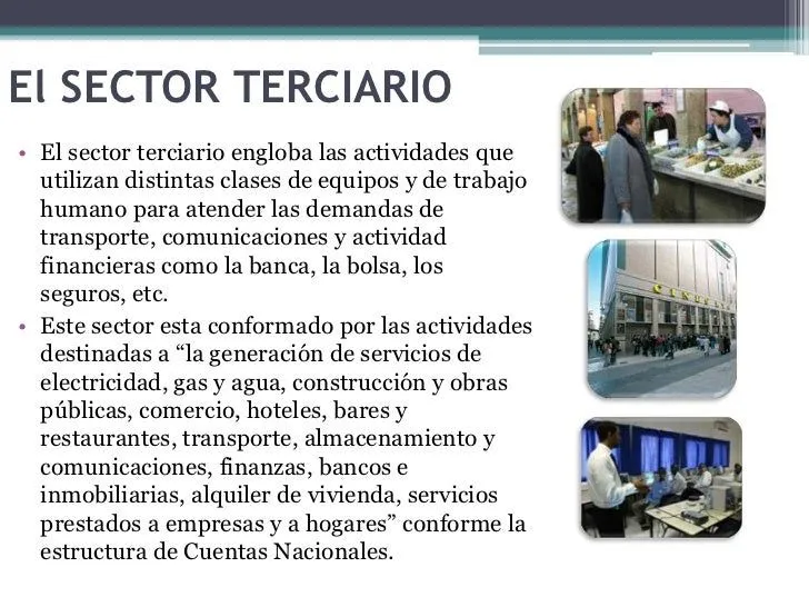 1.1 sectores primario, secundario y terciario