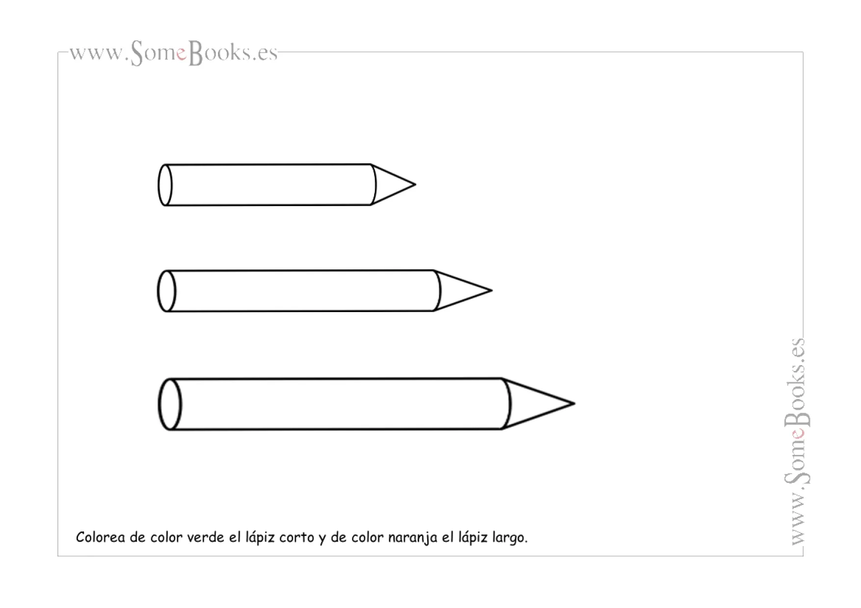 12. Corto y largo